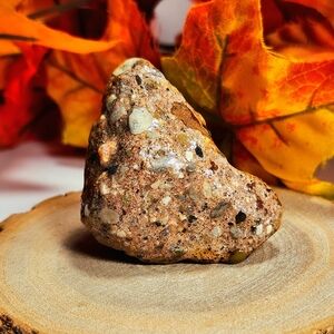 Conglomerate Palm Stone